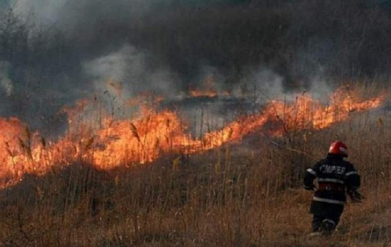 Un bărbat a ars de viu după ce chiar el a dat foc vegetației uscate din grădină!