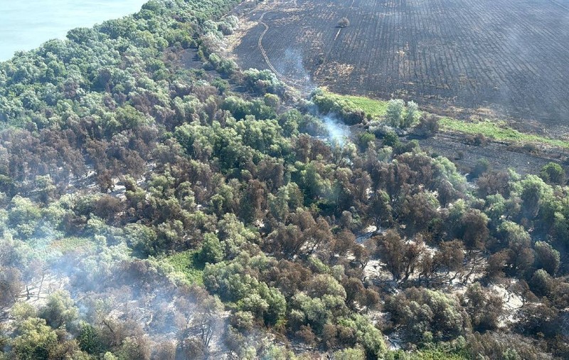 De câteva zile, arde Delta. Peste 330 de tone de apă au fost aruncate de cele 3 elicoptere Black Hawk, pentru stingerea incendiului de la Chilia Veche