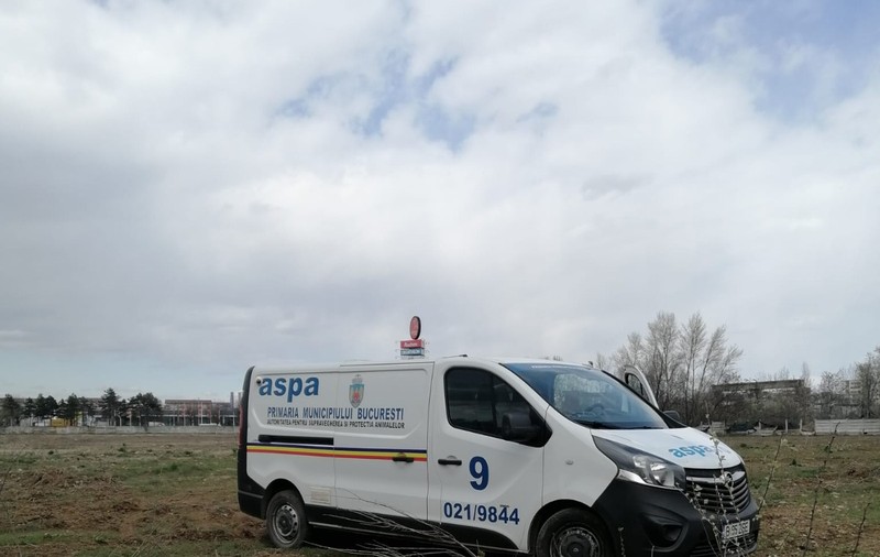 ASPA Bucureşti: Peste 100 de câini au fost capturaţi din sectoarele 5 şi 6 în această lună