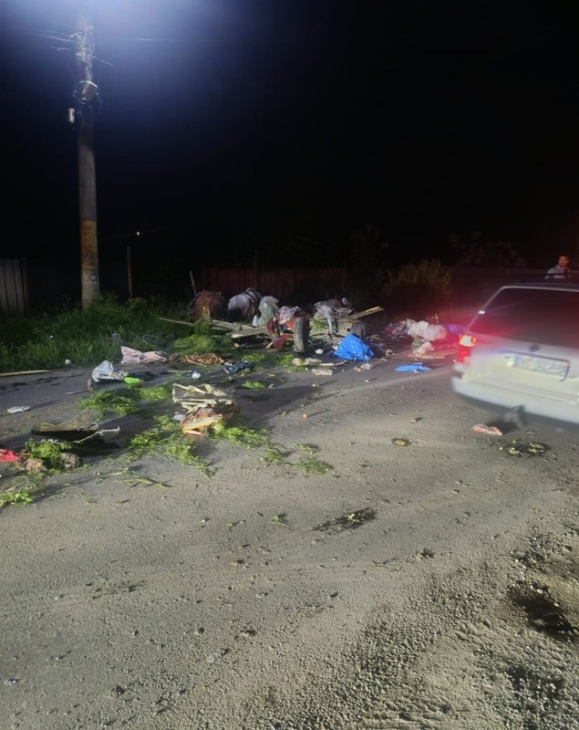 Căruță cu zece oameni în ea pulverizată de o mașină pe o șosea din Neamț. Trei copii printre victime | VIDEO