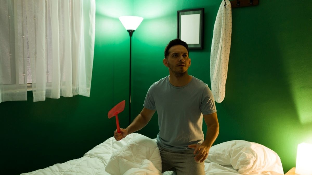 Cum scapi de țânțarii din apartament fără insecticid - Foto Shutterstock