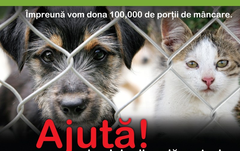 Donaţie apetisantă: 100.000 de porţii de mâncare pentru animalele din adăposturi