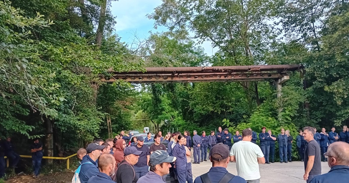 Imaginea prezintă un grup de muncitori în salopete de lucru adunați la un protest în aer liber, în fața unei zone industriale înconjurată de vegetație.