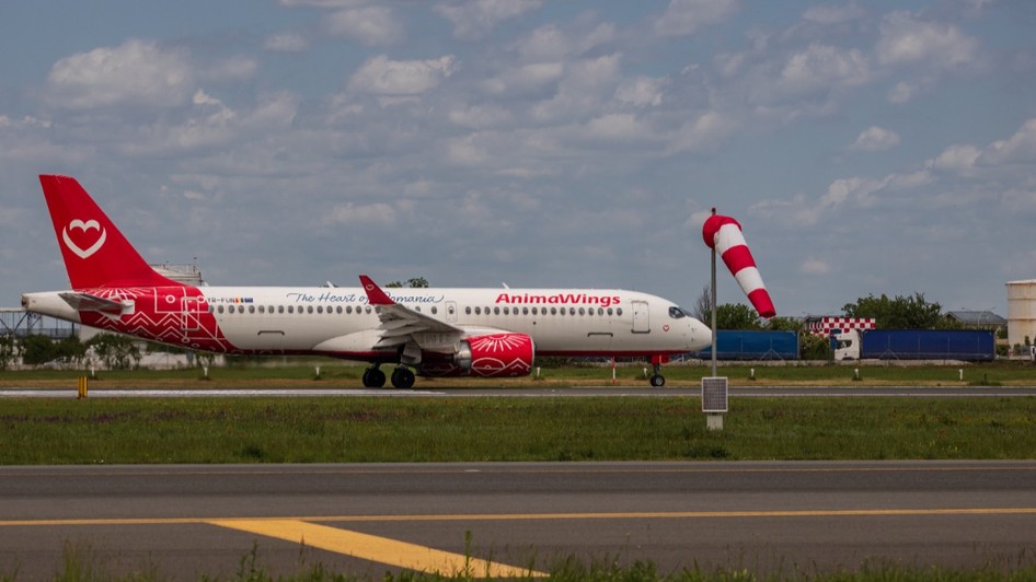 Un avion Animawings pe pista unui aeroport