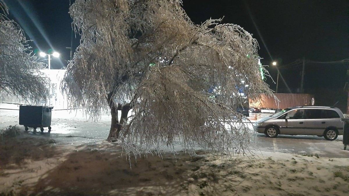 Arhiva foto