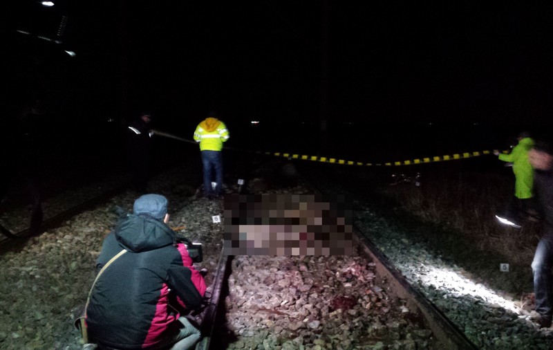 Un cioban a fost lovit mortal de tren în Buzău. Zeci de oi din turma sa au fost ucise pe calea ferată