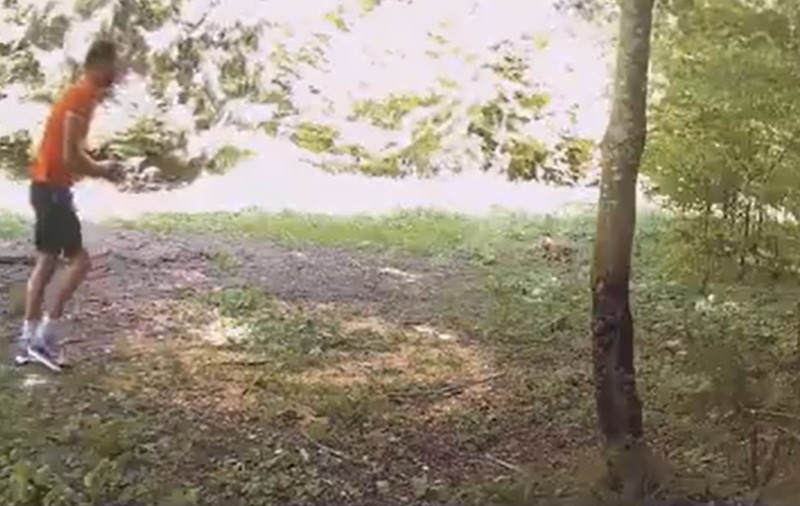 VIDEO| Imagini incredibile în Neamț. Un bărbat se hrănește cu mâncarea urșilor