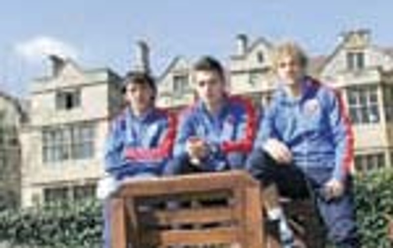 Stelistii, la picnic