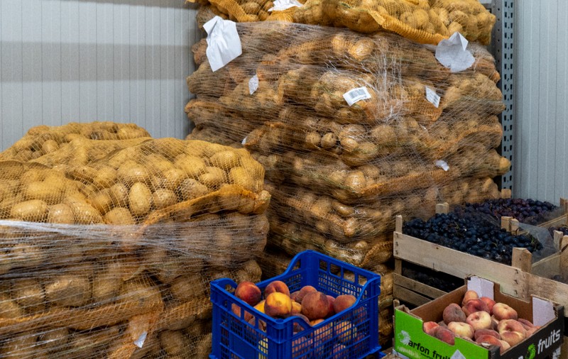 Cele patru mituri despre risipa alimentară care îi costă pe români bani și resurse: greșelile pe care le fac mulți oameni