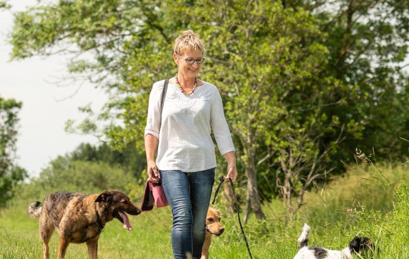 Experții americani avertizează: animalele de companie nu ne transmit noul coronavirus, dar îl pot lua de la noi