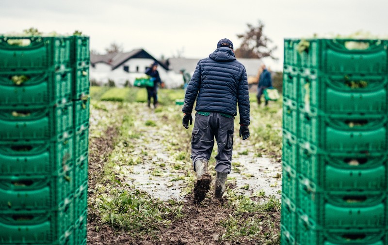 Afacerist român din Spania, condamnat după ce și-a umilit muncitorii: „I-a tratat ca pe niște câini și le-a scuipat în față!”