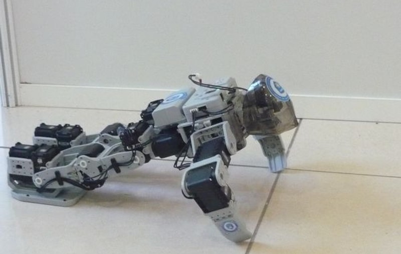 Foto & Video | Instructorul de aerobic e un… robot!