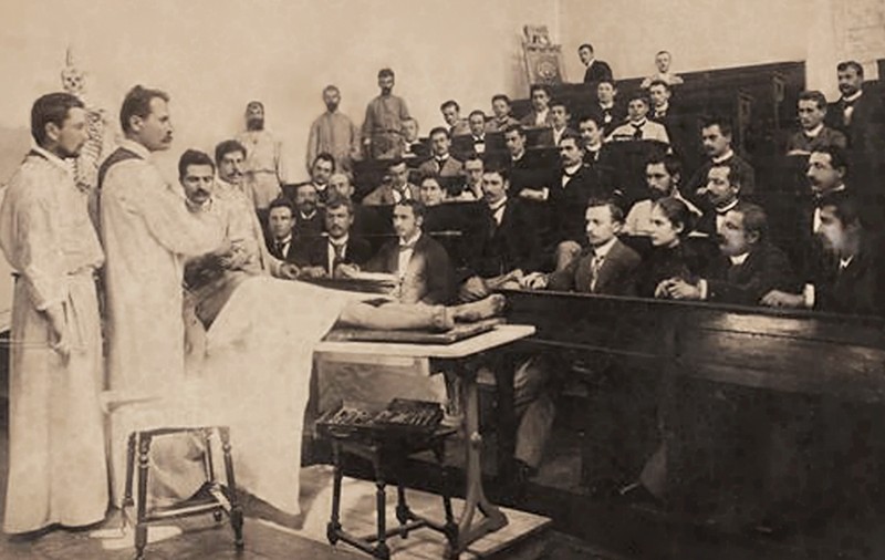 Secretul lui Brâncuși. Cum l-au ajutat disecțiile și studiul anatomiei să devină un geniu al sculpturii