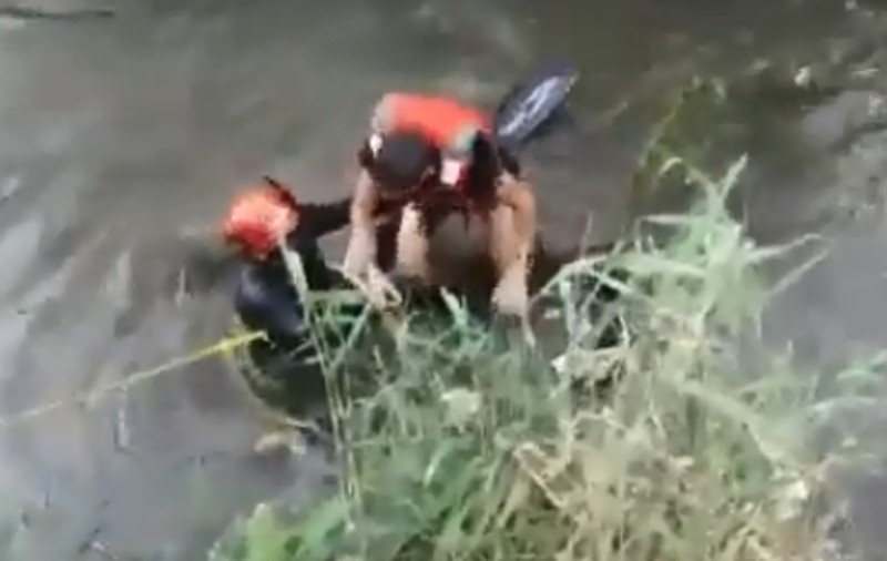 VIDEO | Un copil și câinele lui au fost luați de apele Someșului, dar au fost salvați de la înec!