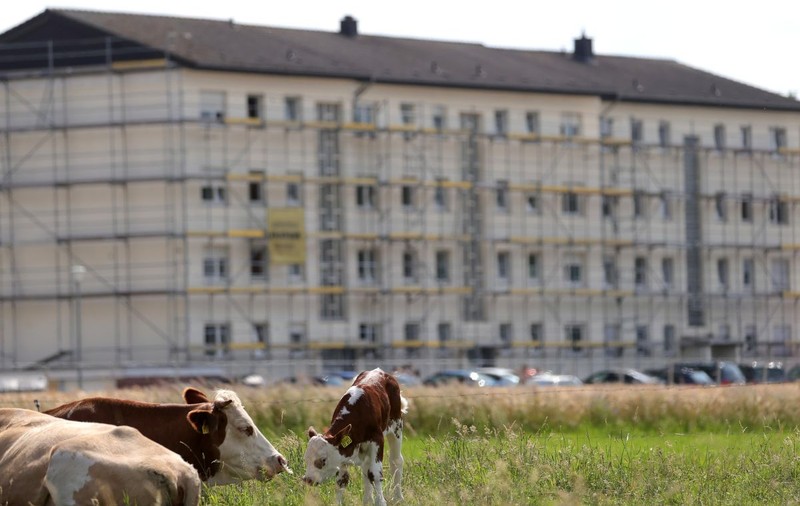 Casa cu mucegai a angajaților Tönnies. Reportaj Deutsche Welle despre condițiile mizere în care trăiesc muncitorii abatorului german, mulți dintre ei români