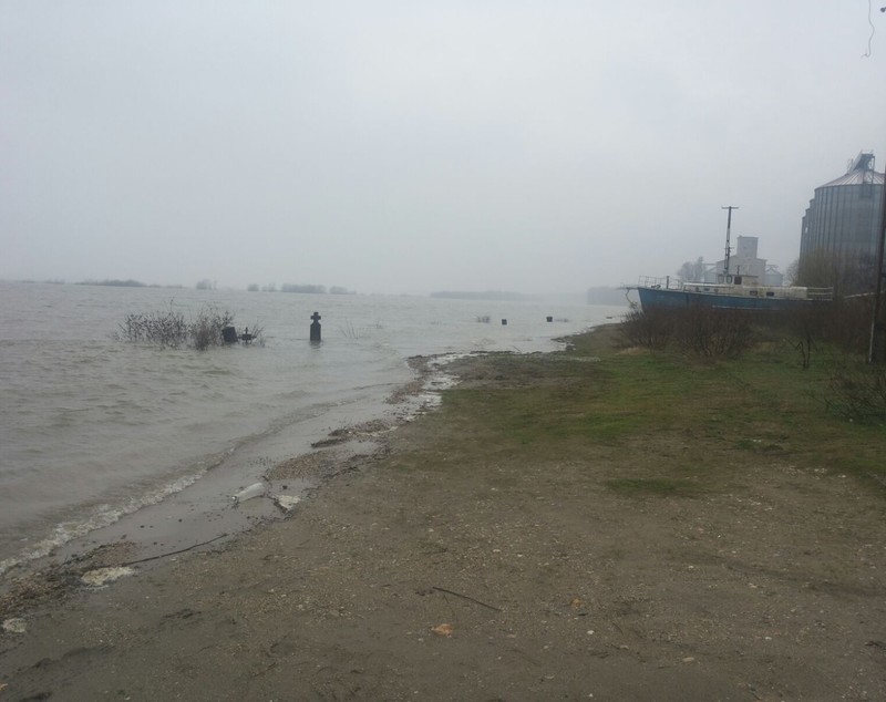 Dunărea, sub cod portocaliu în judeţul Olt! Sute de hectare de păşune şi pădure sunt inundate! GALERIE FOTO