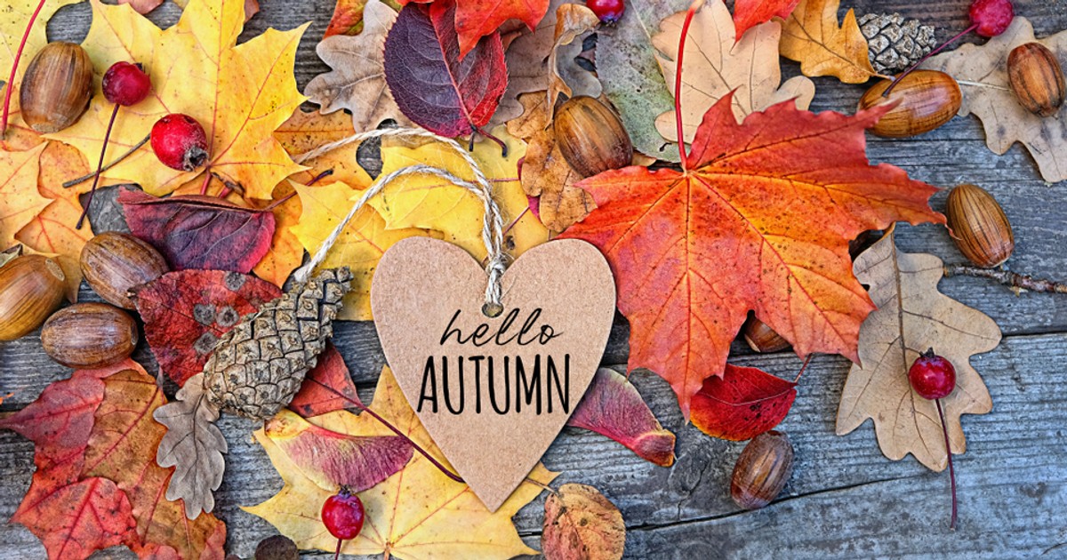 Când va avea loc echinocţiul de toamnă în 2024 - Imagine cu frunze împrăştiate ca decor, pe care se află o inimioară cu mesajul Hello Autumn.