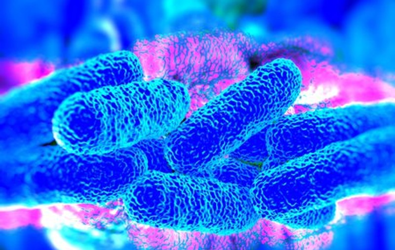 Bacteriile comunică între ele prin impulsuri electrice. Este incredibil de ce sunt capabile după ce se organizează