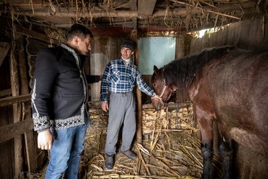Tatăl de familie îi prezintă lui Simion animalele din gospodărie