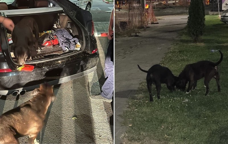 Un bărbat din Galați s-a speriat de ce a găsit în portbagajul mașinii sale și a sunat la poliție