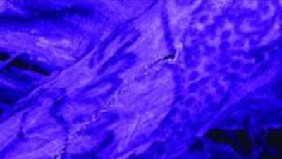 Mumie femeie Siberia tatuaje infrarosu