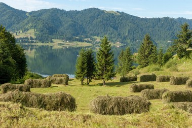 Obiective turistice lângă Vatra Dornei - Lacul Colibita