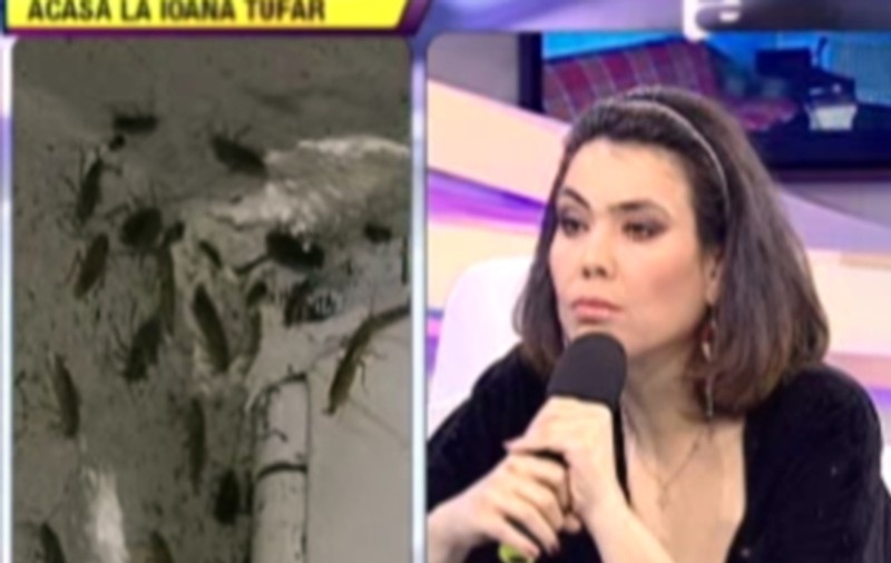 ŞOCANT! Ioana Tufar, CU GÂNDACII ÎN ŞAORMA! Vezi cum explică fiica Andei Călugăreanu MIZERIA DIN CASĂ | FOTO