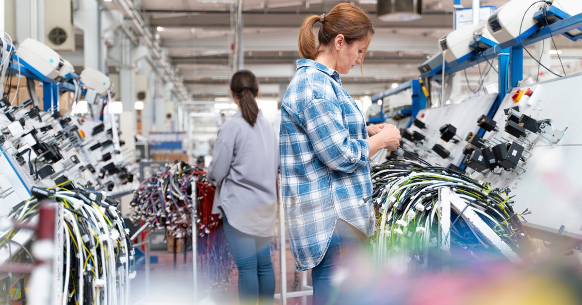 Femei lucrează intr-o fabrică de cabluri auto shutterstock_2492069823.jpg