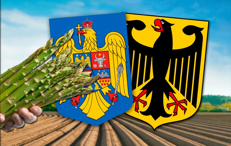 EXCLUSIV. Operațiunea sparanghelul a început mai devreme. Firma Fritz Wassmer susține că românul mort de COVID în Germania “a cerut să nu fie dus la spital”