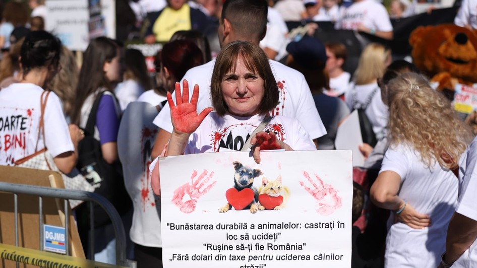 Protest de amploare în București de Ziua Mondială a Animalelor. Peste 70 de organizații cer oprirea uciderii câinilor din adăposturi și legi mai ferme