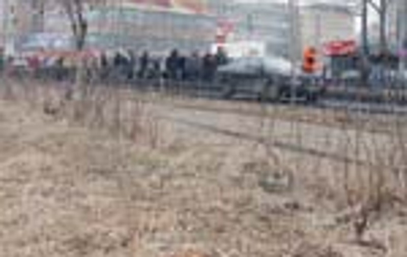 Gaina moarta langa Palatul Cotroceni