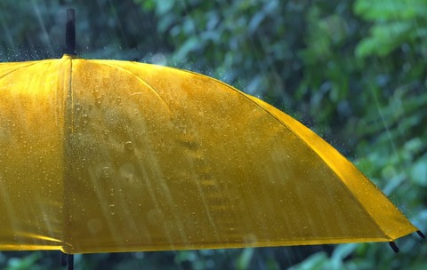 O umbrelă galbenă în ploaie