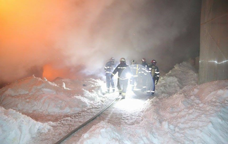 Foarte multe probleme, un profit extrem de mic și un incendiu care a ucis 11 animale. Circul Globus funcționează după legea junglei
