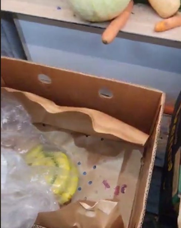 Pui de șoareci, într-o cutie cu banane la Lidl Lugoj. Reacția magazinului după filmarea cu animalele vii apărută pe internet