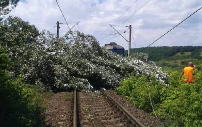 Trenuri cu sute de călători, oprite după ce mai mulţi copaci au căzut pe firele de contact