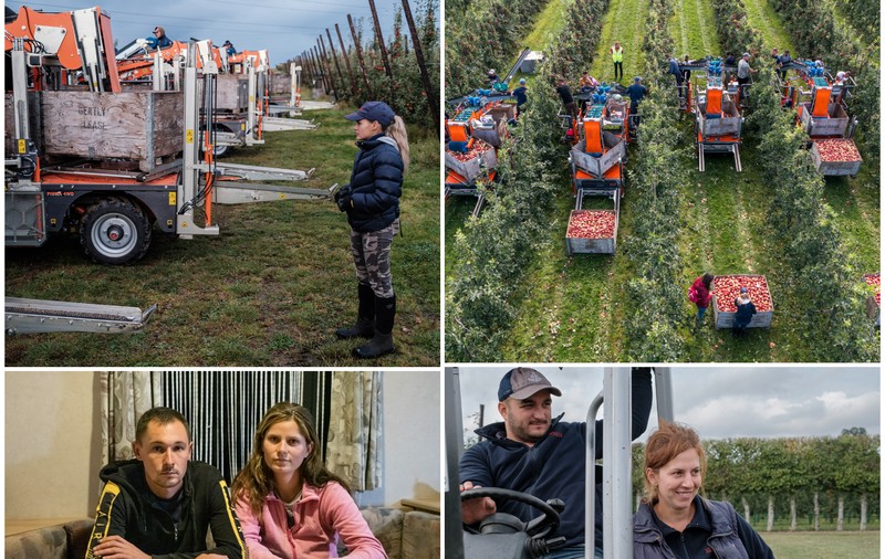 Imagini și povești inedite din interiorul fermelor din UK. Muncitorii români: „Ne lipsește familia și simțim că facem prea multe joburi”