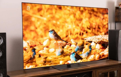 Unul dintre televizoarele testate de cei de la Gamers Nexus, LG OLED G5.