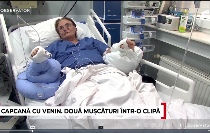 O femeie a ajuns la spital după ce a vrut să salveze un șarpe: „Am intrat pe ChatGPT să văd ce-i cu orătania”