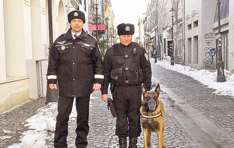 Păzea, trec câinii poliţişti!