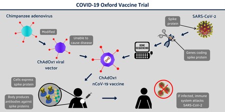 Cum ar urma să funcționeze vaccinul anti-coronavirus al celor de la Universitatea din Oxford