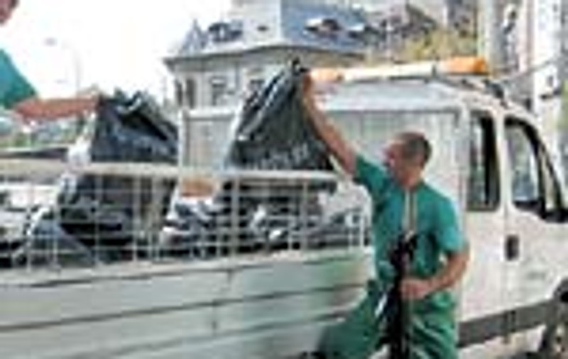 Batut pentru ca lua gunoiul
