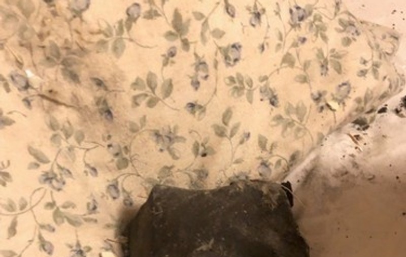 O femeie din Canada s-a trezit cu un meteorit care i-a căzut în pat, în timp ce dormea. „N-am fost atât de speriată în viața mea”