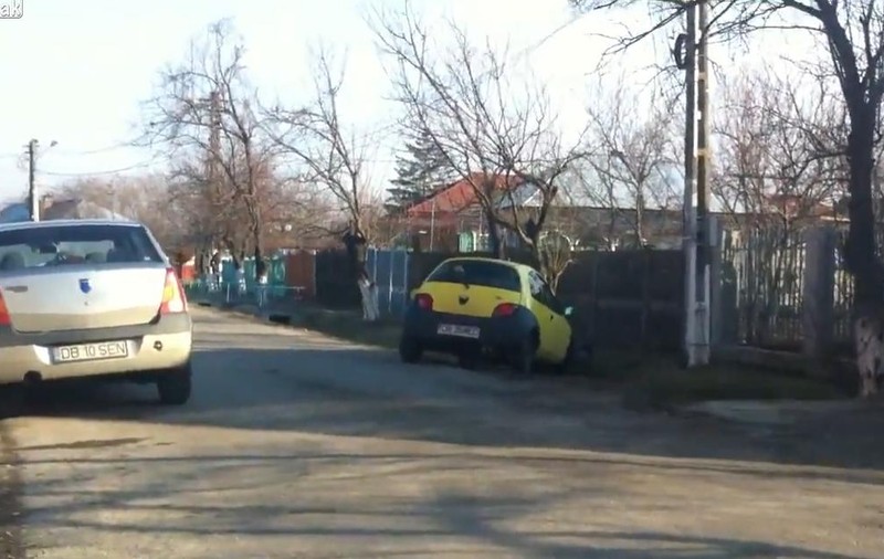 Femeie la volan! Feriţi copacii! VIDEO