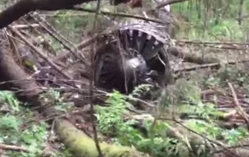 Un avion de luptă s-a prăbușit în apropiere de Moscova | VIDEO