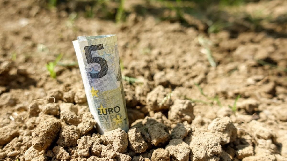 Fotografie a unei bancnote de 5 euro îngropată parțial în pământ uscat, cu iarbă verde vizibilă în fundal.
