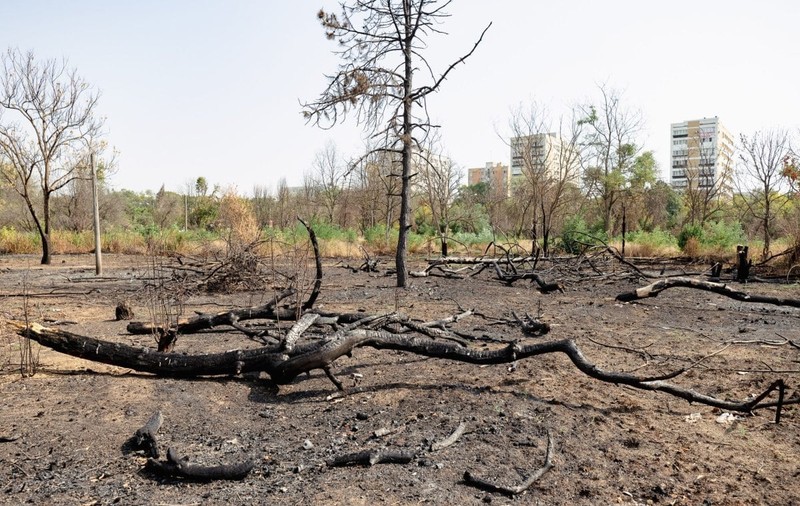 Primăria Capitalei, dată în judecată de un ONG pentru „retrocedarea abuzivă” de acum 19 ani a 12 hectare din Parcul IOR