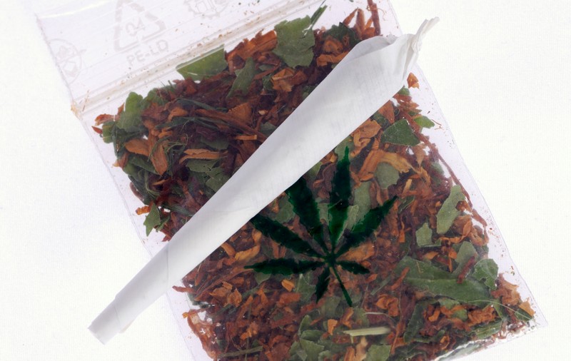 Cum este tratat consumul de canabis în toată lumea. În ce țări este permis să fumezi marijuana