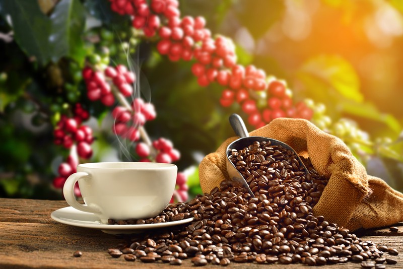 Istoria cafelei