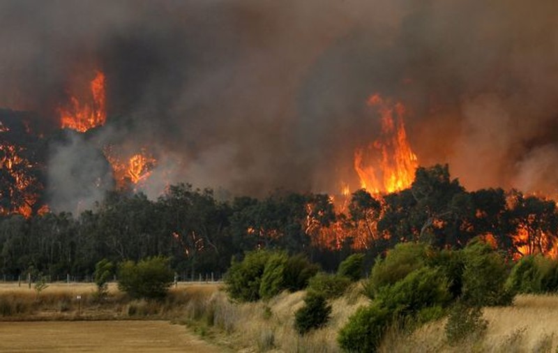 Vinovaţii pentru incendiile din Australia pot fi acuzaţi de omor