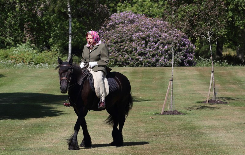 Prima apariţie a reginei Elisabeta a II-a după trei luni de izolare. Suverana de 94 de ani a călărit prin curtea Castelului  Windsor